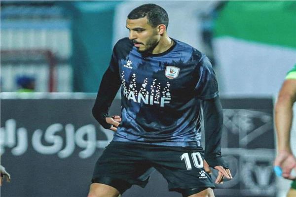 شكري نجيب