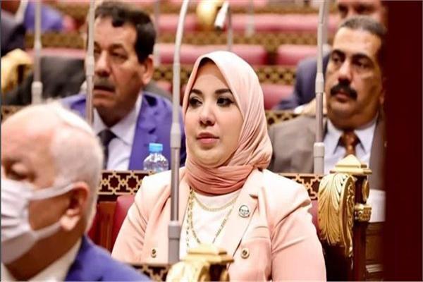  الدكتورة دينا هلالي، عضو لجنة حقوق الإنسان والتضامن الاجتماعي بمجلس الشيوخ
