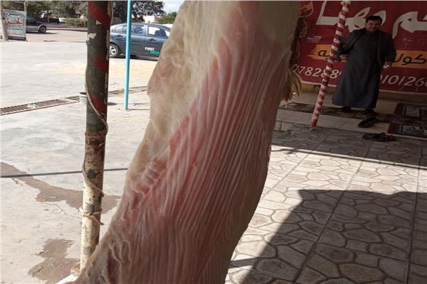 صورة من الحملة