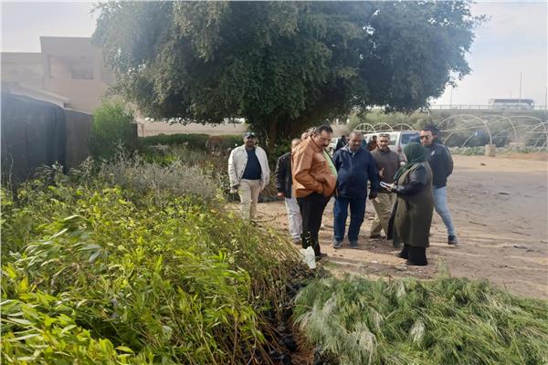لجنة تنسيقية بسفاجا لغرس وزراعة 5475 شجرة مثمرة ضمن مبادرة 100 مليون شجرة
