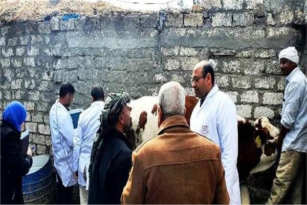 لجان طبية بيطرية لتقديم الدعم الفني 