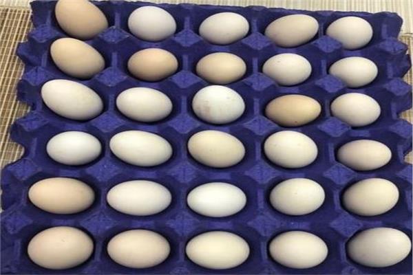 طبق بيض - صورة أرشيفية