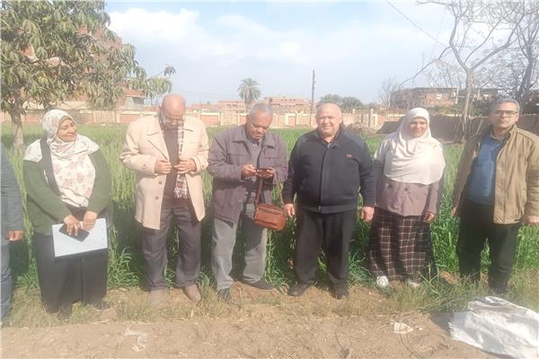 صورة موضوعية
