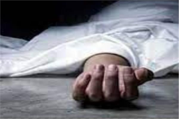 صورة أرشبفبة 