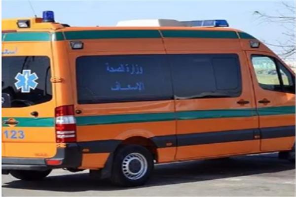 صورة أرشبفبة 
