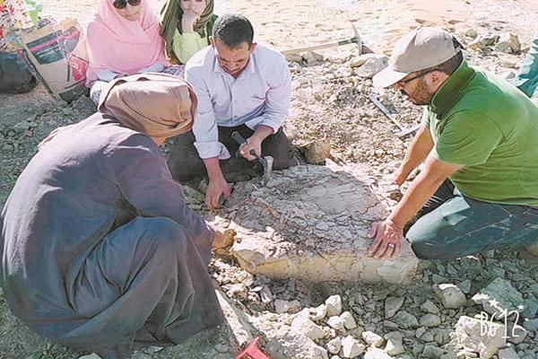 الفريق  البحثى أثناء اكتشاف السلحفاة