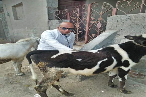 قافلة بيطرية من جامعة الزقازيق