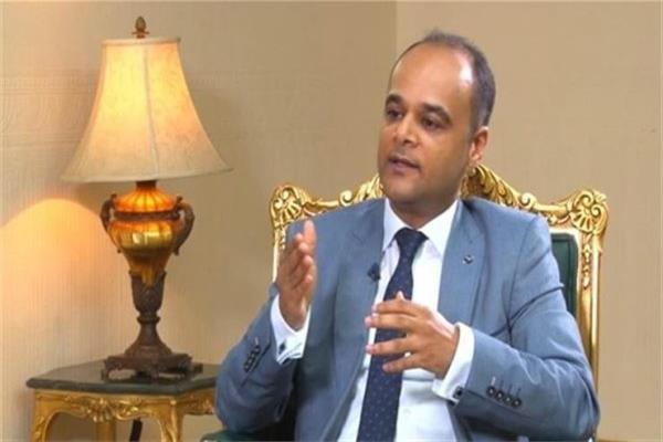 السفير نادر سعد المتحدث باسم مجلس الوزراء