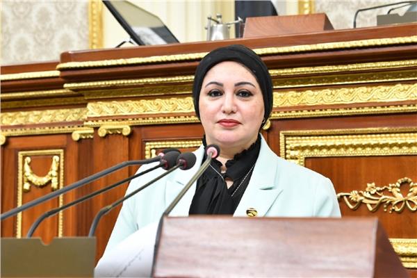 النائبة سولاف درويش وكيل لجنة القوى العاملة 
