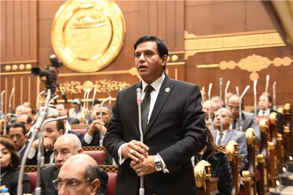 النائب اللواء طارق نصير