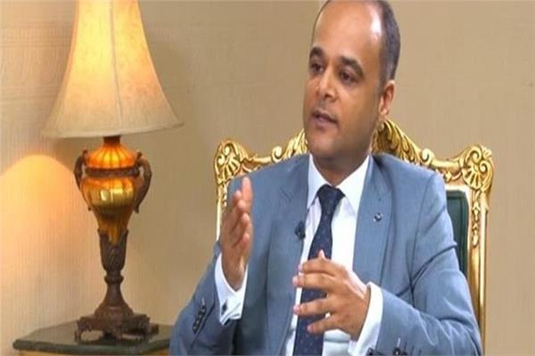 السفير نادر سعد