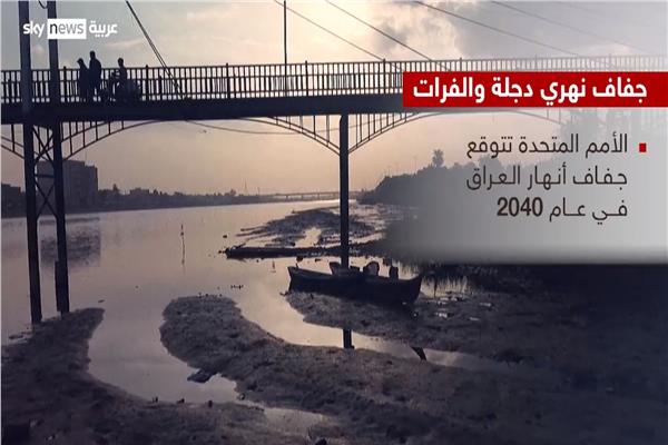 موضوعية