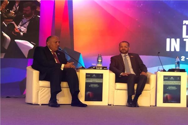وزير الخارجية بجلسة حوار «رايسينا»