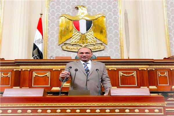 النائب أحمد أبو زيد