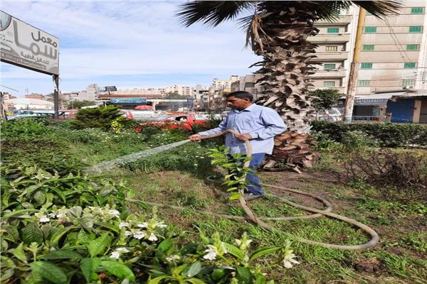 مبادرة السيد الرئيس "100 مليون شجرة"