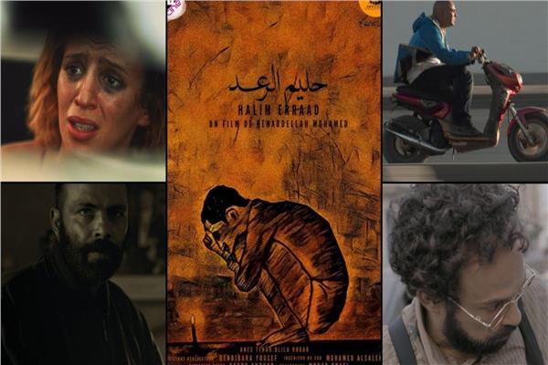 المهرجان المغاربي في هولندا