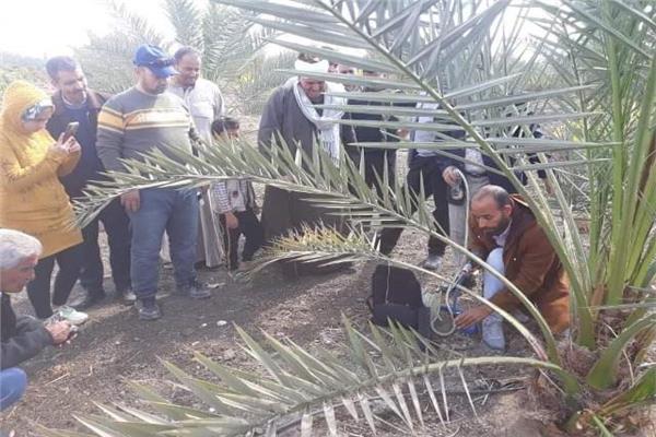 مدرسة حقلية