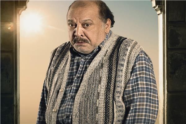 ضياء الميرغني