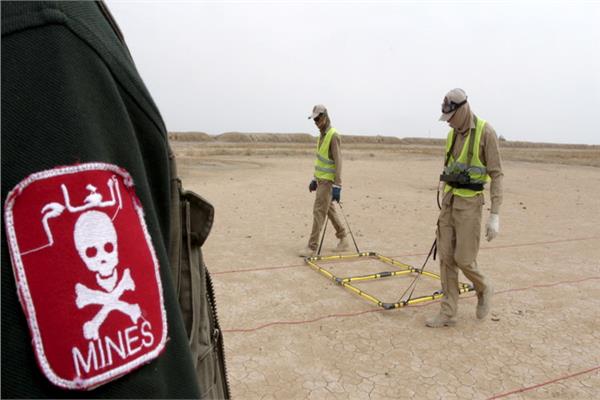 صورة أرشيفية