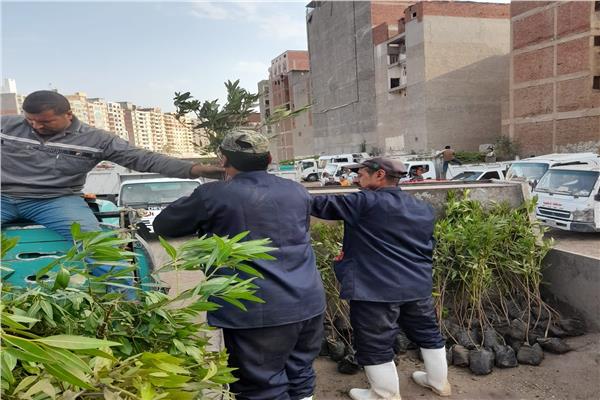  تنفيذ مبادرة 100 مليون شجره ومتابعة مشروعات الاستثمارية