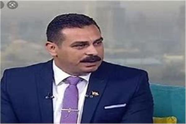 الدكتور محمد البهواشي أستاذ الاقتصاد
