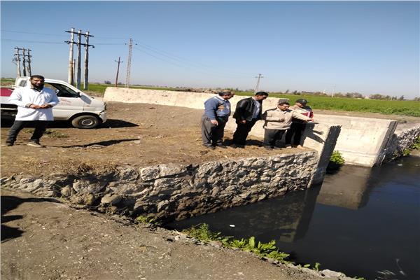  لجنة من الطب البيطري بالغربية تعاين الموقع