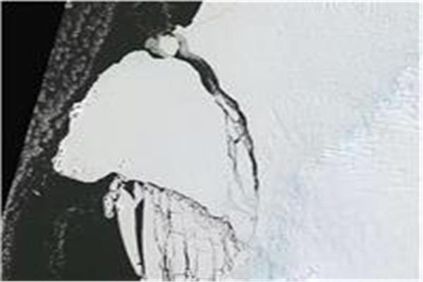 صورة موضوعية