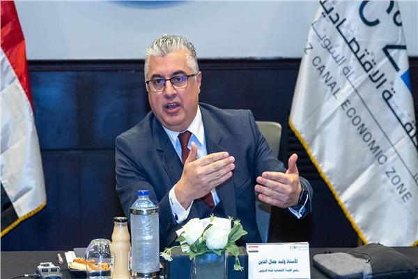 وليد جمال الدين، رئيس المنطقة الاقتصادية لقناة السويس