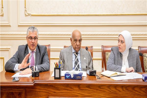 طاقة الشيوخ تناقش مستجدات ملف الوقود الأخضر في اقتصادية قناة السويس