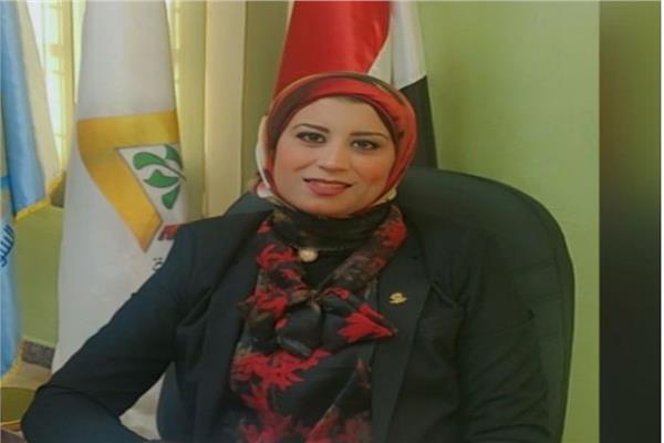 رئيس جهاز السويس الجديدة