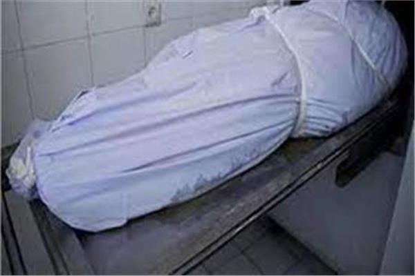 صورة أرشبفبة 