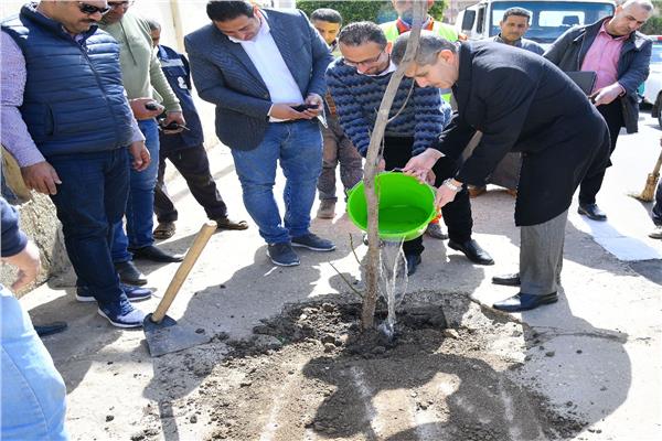  محافظ الغربية يشارك حي أول طنطا  في زراعة 120 شجرة 