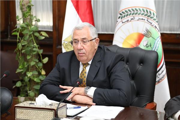 السيد القصير