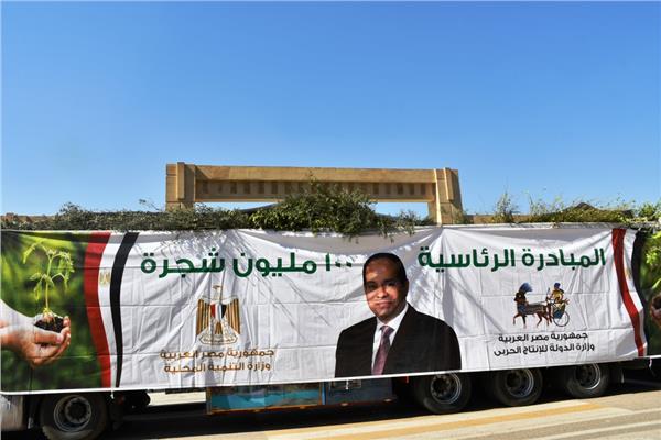 صورة موضوعية