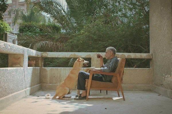 لقطه من فيلم 19 ب