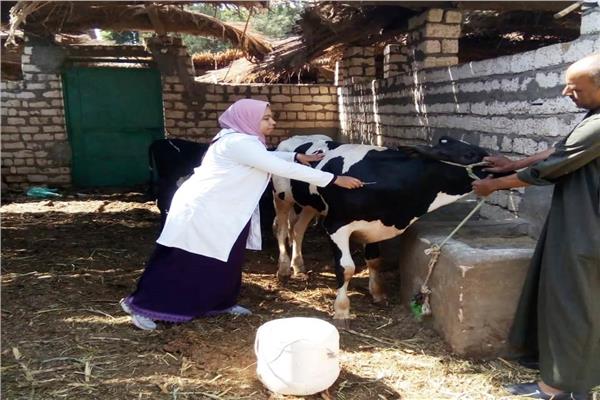 جانب من الحملات البيطرية