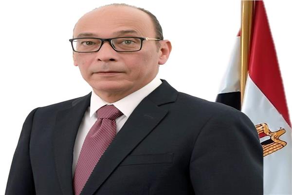 محمد نافع مساعد رئيس حزب المصريين