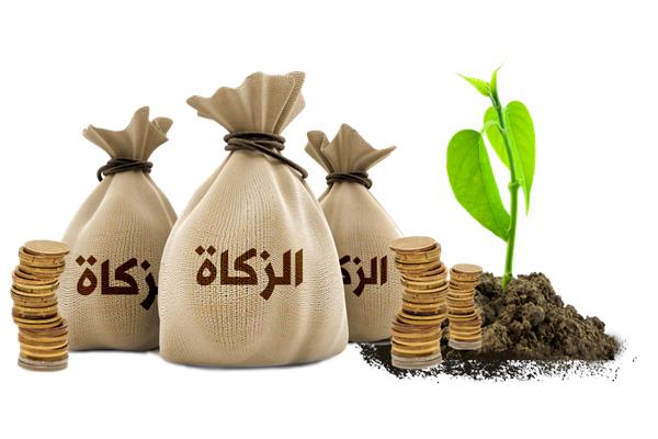 الزكاة - أرشيفية