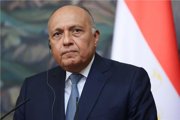 وزير الخارجية سامح شكرى 