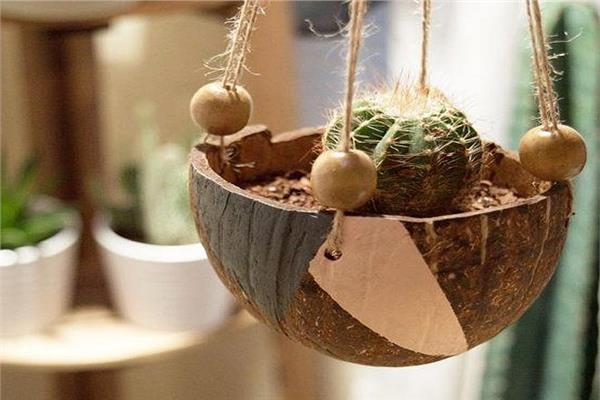 طرق مبتكرة باستخدام قشور جوز الهند