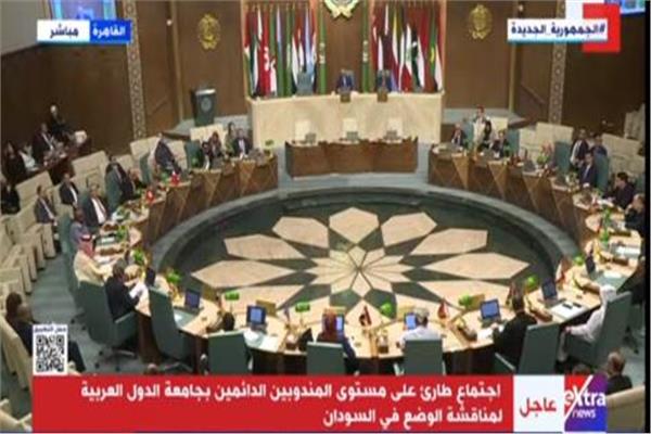جامعة الدول العربية 