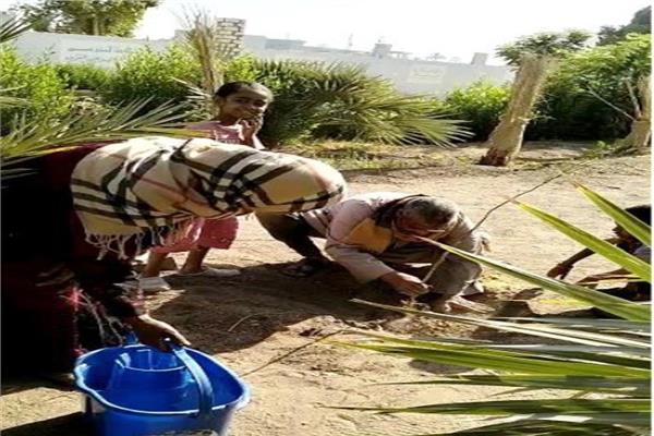 زراعة 2300 شجرة بمختلف الإدارات التعليمية بأسوان