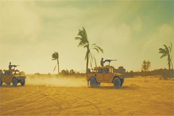 صورة موضوعية