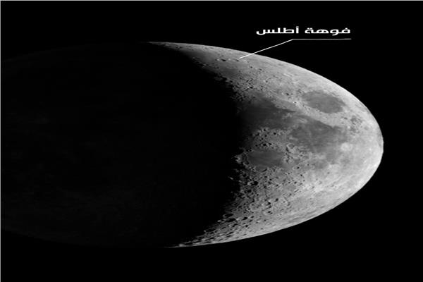 ارشيفية