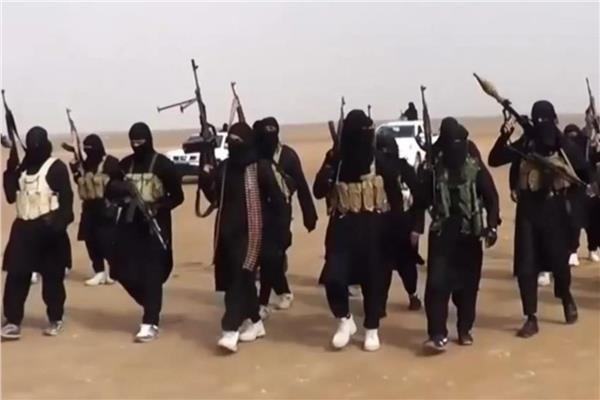 تنظيم داعش