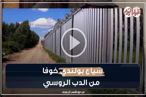 فيديو جراف