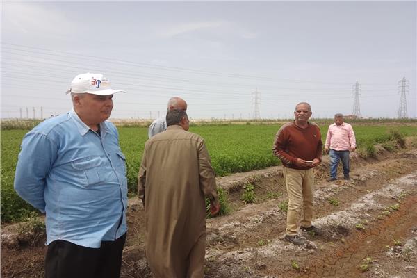  لجنة من مديرية الزراعة بالإسماعيلية