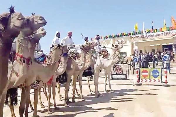 جانب من فعاليات مهرجان سباق الهجن