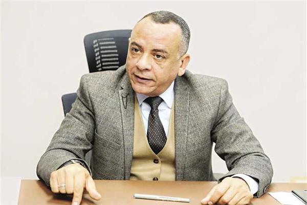 د. مصطفى وزيري الأمين العام للمجلس الأعلى للآثار