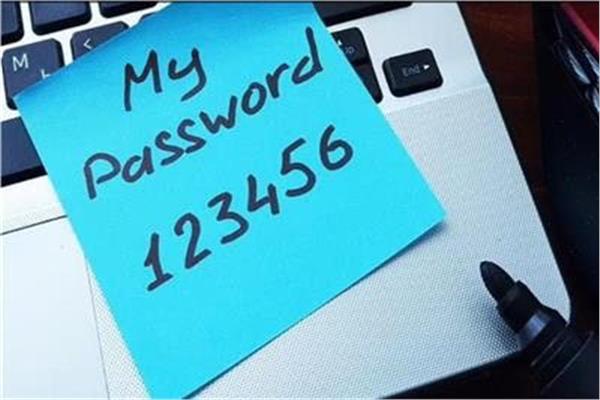 كلمات المرور الخاصة بك